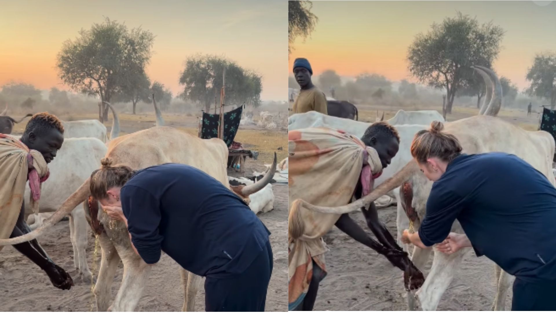 Viral Video Tourist woman washes face with cow urine in South Sudan