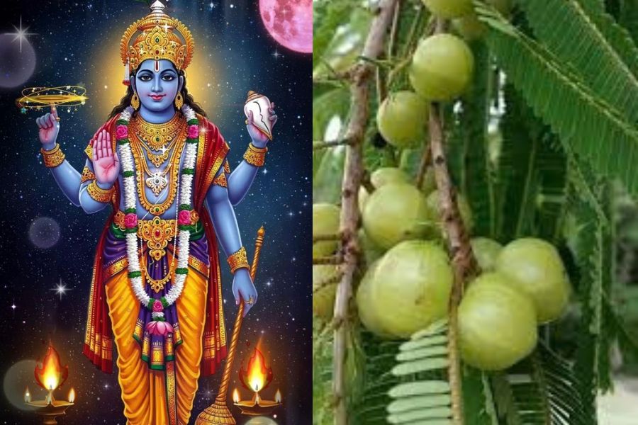 Amalaki Ekadashi 2026 G1 News (2)