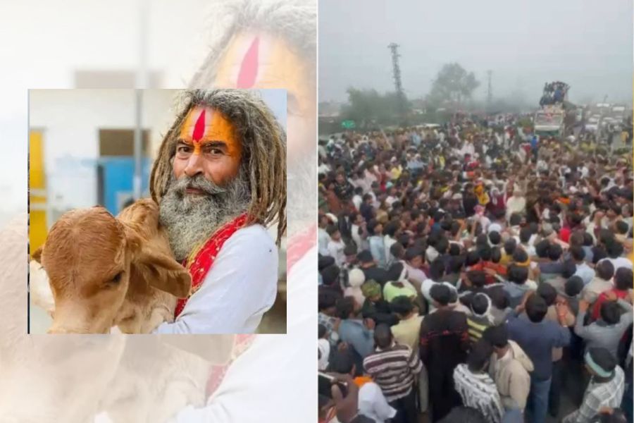 mathura-gau-rakshak-death-yogi-adityanath-action